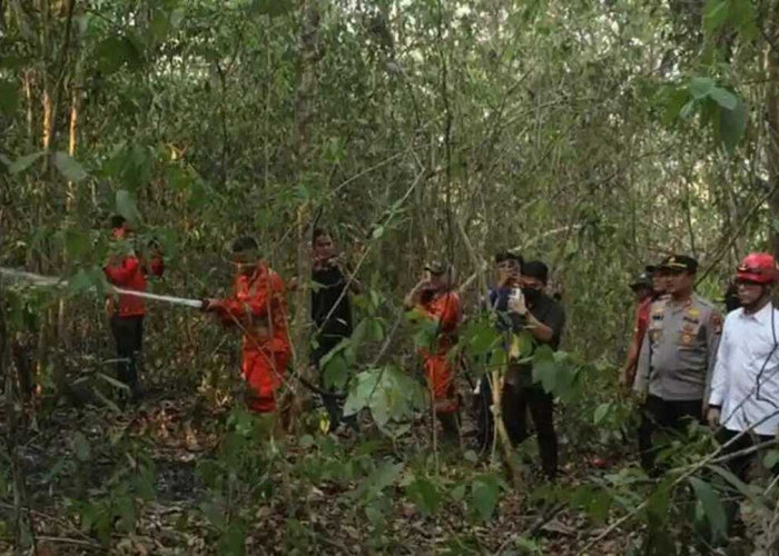 Bupati OKU Berjibaku Padamkan Karhutla di Wilayahnya