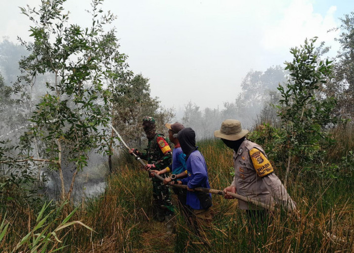  2 Hektar Lahan Terbakar, Satgas Karhutla Polres Banyuasin Berjibaku Padamkan Api