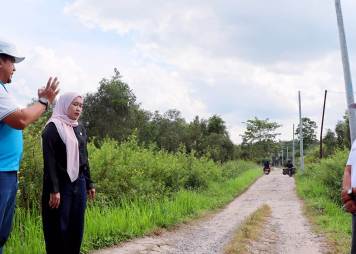 PLN–DPR RI Tinjau Progres Listrik Desa Pulau Semambu, 4,63 Km Jaringan Rampung Jangkau Lima Dusun