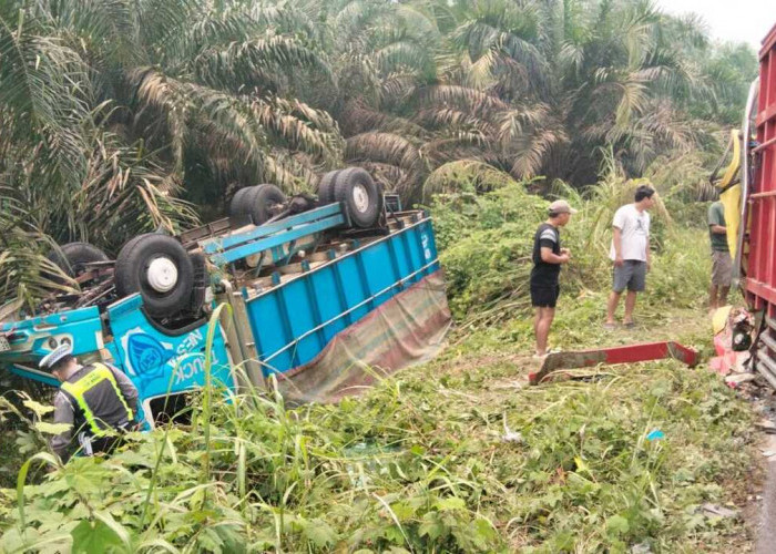 Dua Truk Adu Banteng di Jalinsum Lubuk Kemang Muratara, Begini Kondisi Sopir dan Penumpang