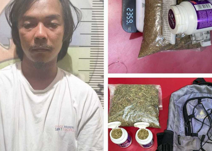 Tangkap Seorang Kurir Ganja, Satresnarkoba Polres Prabumulih Sita 235,9 Gram Ganja Kering