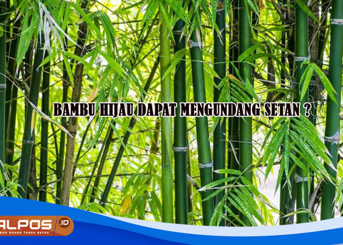 Benarkah Tanaman Bambu Hijau Dapat Mengundang Setan ? Begini Asal Usulnya Biar Gak Gagal Paham !