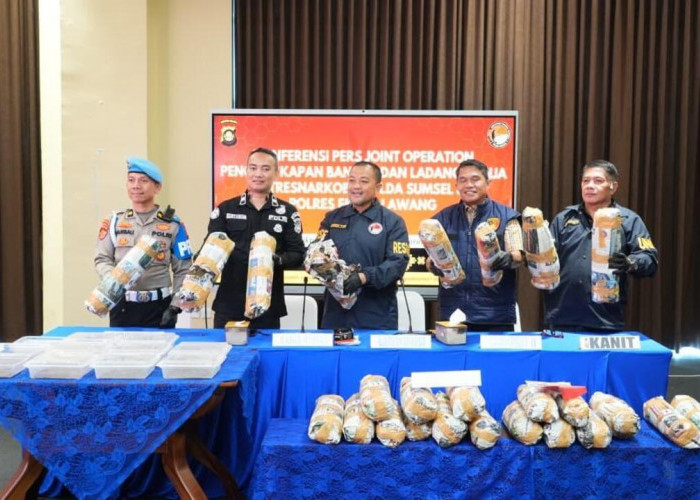 Polda Sumsel Bongkar Sindikat Ladang Ganja 20 Hektar di Empat Lawang, 220 Kg Ganja Disita