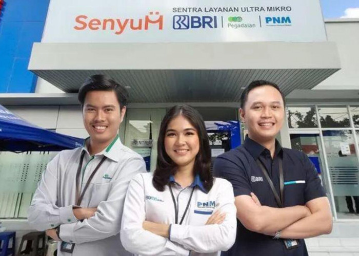 Dukung Pemerataan Ekonomi, Holding Ultra Mikro BRI Salurkan Pembiayaan ke Pelaku Usaha dan Nasabah Tabungan