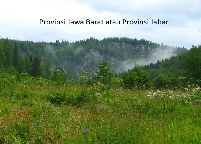 Pemekaran Wilayah Jawa Barat: Wacana Tambah 9 Kabupaten dan Kota Otonomi Baru