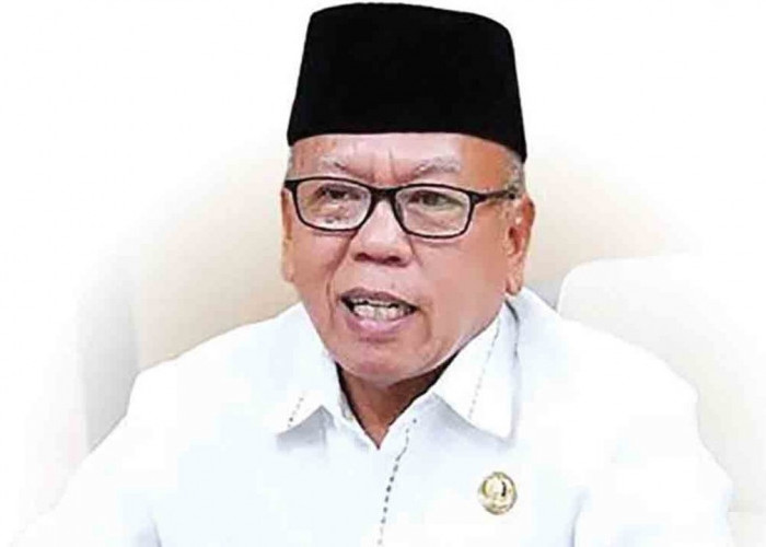 Owner Ummi Travel Terancam Dipecat sebagai ASN Musi Rawas, Ini Penjelasan Sekda! 