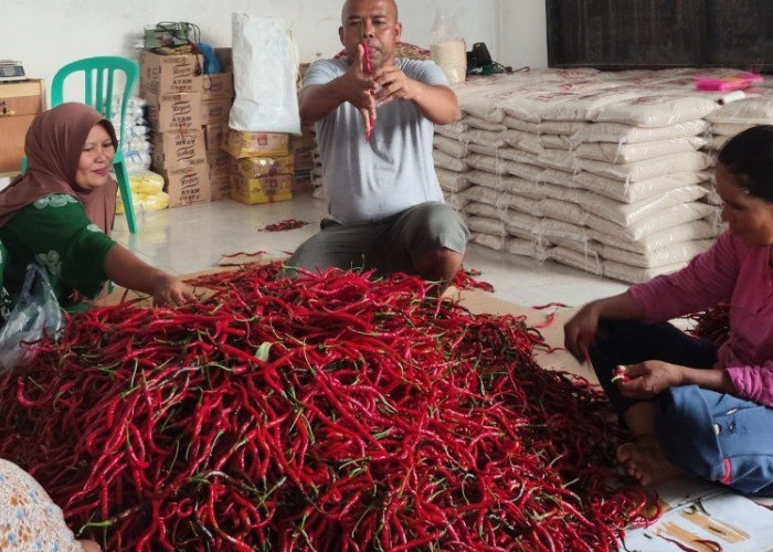 Perkuat Ketahanan Pangan dan Gizi Nasional, BRI Salurkan Pembiayaan Kepada Koperasi Penyuplai Bahan Pangan MBG