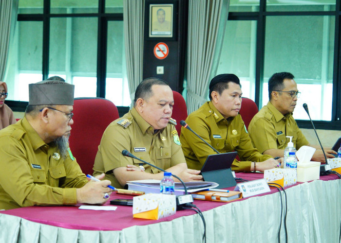 Ikut Evaluasi Kinerja Penjabat Kepala Daerah Triwulan I, Pj Bupati Muba Paparkan 10 Indikator Prioritas 
