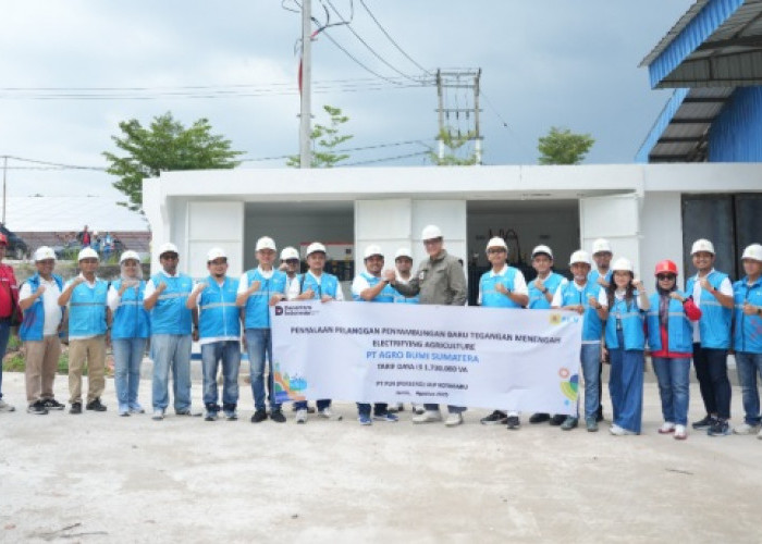 Semarak Kemerdekaan! PLN UP3 Jambi Energize Electrifying Agriculture 1.730 kVA untuk PT Agro Bumi Sumatera