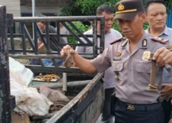 Curi Besi Rel Kereta Api, Dua Warga OKU Diringkus Polisi
