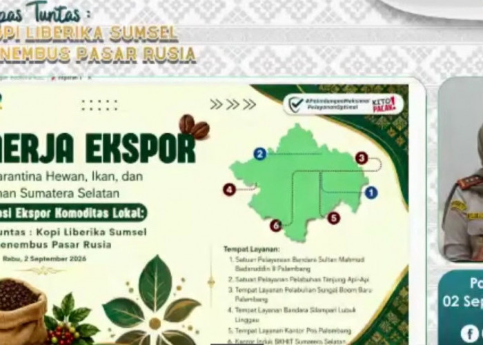 Kopi Liberika Sumsel Bidik Pasar Rusia, Barantin Perkuat Pendampingan UMKM Menuju Ekspor