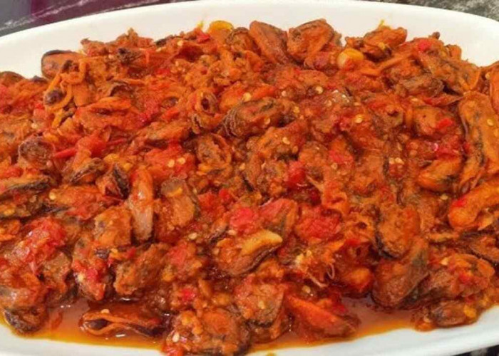 Popularitas Kerang Ijo Kupas Sambal Balado Meningkat di Tengah Pecinta Kuliner Nusantara
