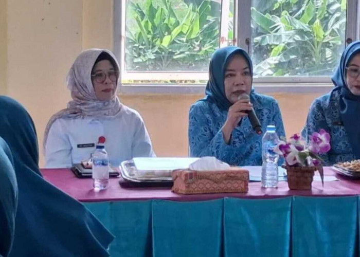 TP PKK dan DP2KBP3A Prabumulih Perkuat Sinergi Cegah Kekerasan terhadap Perempuan