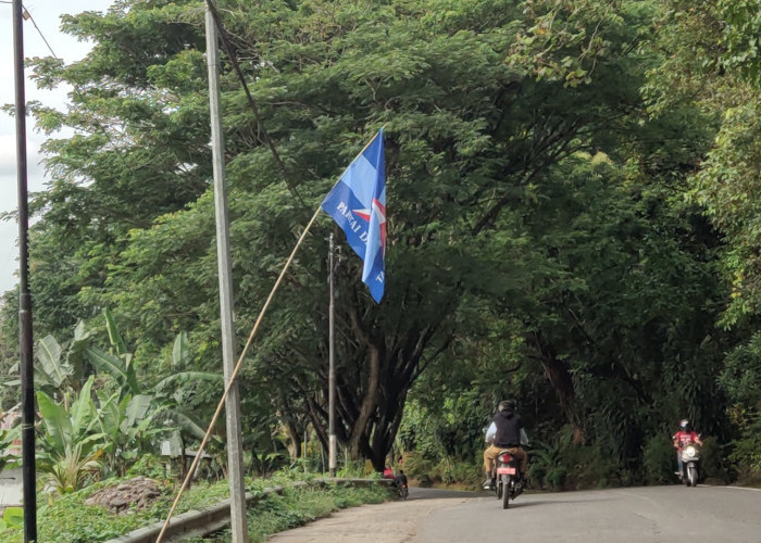 Bendera Parpol Berkibar Gunakan Fasilitas Umum
