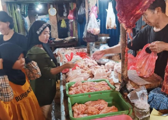   Harga Ayam Potong di Baturaja Berangsur Normal
