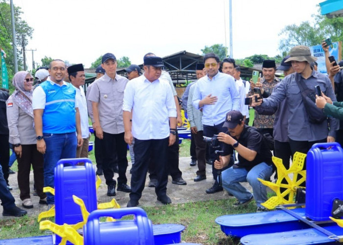 Perkuat Produktivitas Udang Sungai Menang, Herman Deru Dorong Go Export dan Infrastruktur Listrik Tambak OKI