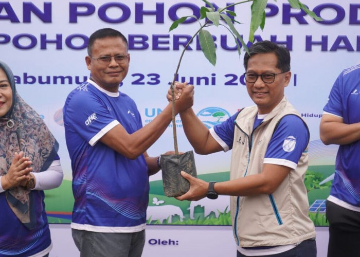 Gelar Jalan Santai dan Penanaman Pohon di Prabumulih, GM PHR Zona 4 dan Wako Ajak Masyarakat Jaga Iklim