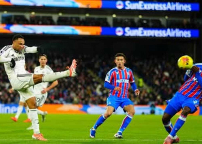 Hasil Imbang Seru di Selhurst Park, Crystal Palace dan Fulham Berbagi Angka 1-1.