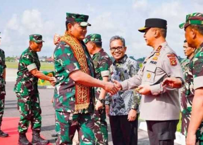 Panglima TNI Mendarat di Bandara Internasional SMB II Palembang, Ada Apa Iya...
