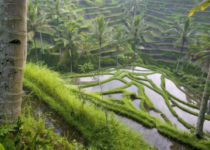 Sembilan Desa Indah Di Indonesia Yang Wajib Kamu Kunjungi