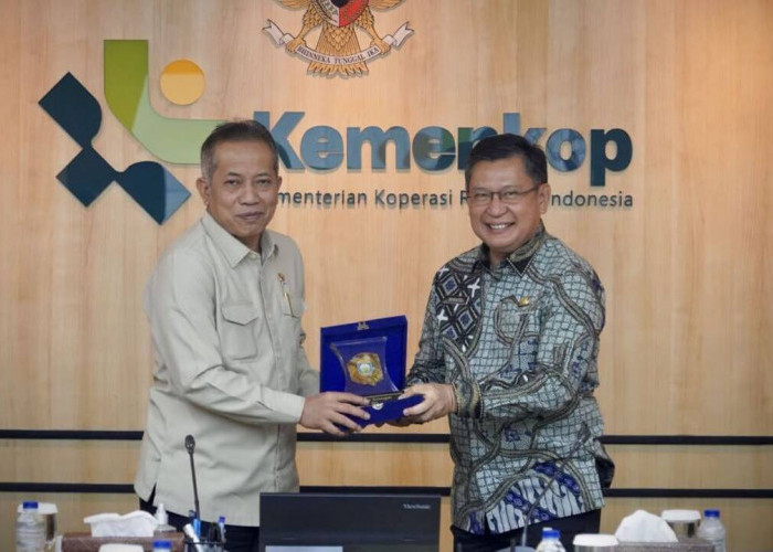 Wabup OKU Temui Menteri Koperasi, Dorong Koperasi Jadi Motor Ekonomi Daerah