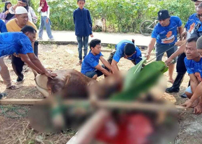Idul Adha 2025 Serentak pada Jumat, 6 Juni: Pemerintah, Muhammadiyah, NU dan Arab Saudi Sepakat