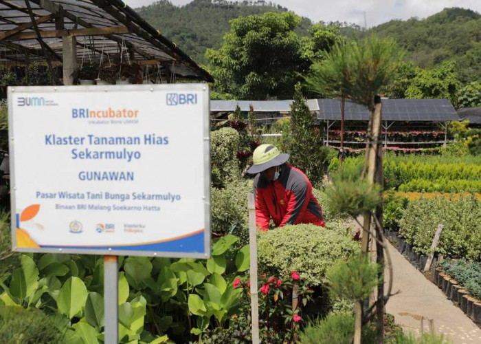 Terbesar di Indonesia, Portofolio Sustainable Finance BRI Tembus Rp796 Triliun