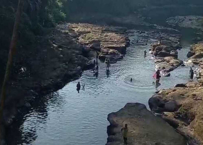 Diduga Diracun Putas oleh Oknum Tak Bertanggung Jawab, Ratusan Ikan Mendadak Mengambang di Sungai Kelingi