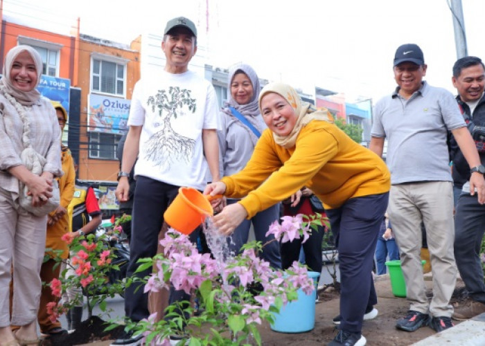 Palembang Bersolek dengan Program 'Warna-Warni Kota', Bunga Bougenville Hiasi Median Jalan LRT