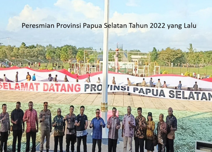 Pemekaran Wilayah di Provinsi Papua Selatan: Peluang Baru Bagi Industri Lokal Untuk Berkembang