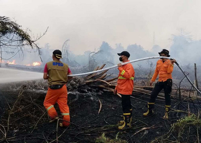 Karhutla Terjadi di 5 Titik Muba, Total 11,5 Hektare Lahan Terbakar