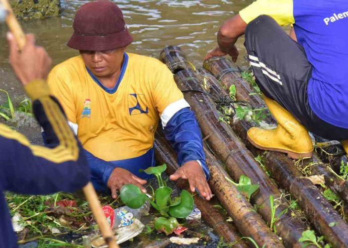 Hari Bumi 2026,Pemkot Palembang Ajak Warga Jaga Kelestarian Sungai Musi
