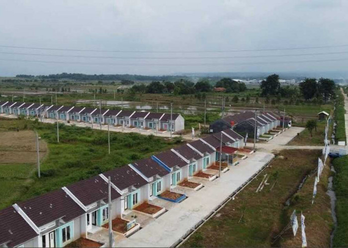 Penyaluran KPR Subsidi Didominasi FLPP, BRI Perkuat Komitmen Tingkatkan Akses Hunian Terjangkau 