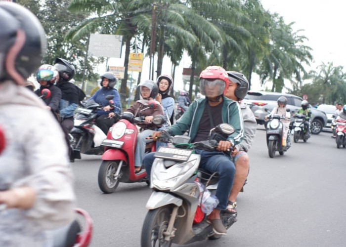 Cara Memilih Ubi Ungu yang Empuk Tanpa Gagal, Dijamin Manis dan Lembut Saat Dimasak