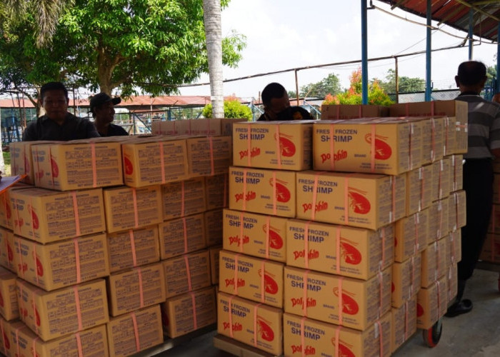 Balai Karantina Sumsel Sertifikasi 11 Ton Udang Black Tiger Senilai Rp2 Miliar untuk Diekspor ke Jepang