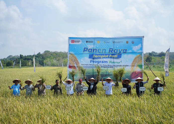 Dorong Swasembada Pangan, Pusri Gelar Panen Raya di Bangka Selatan