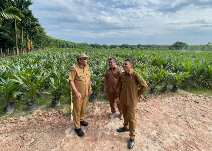 Hidupkan Semangat Petani Lewat Pembibitan Unggul