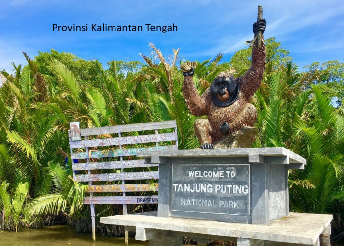 Kalimantan Tengah: Keajaiban Alam dan Pergulatan Pembangunan Pendidikan