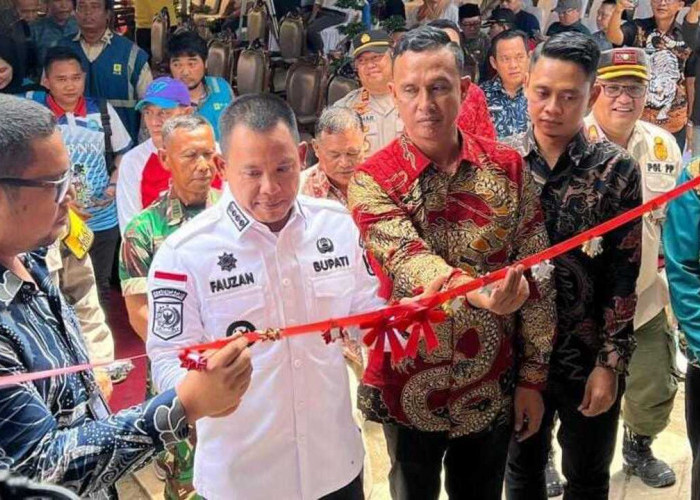 PLN Berhasil Operasikan SUTT 150 kV Lubuk Linggau - Tebing Tinggi Secara Penuh, Siap Layani Kebutuhan Listrik 