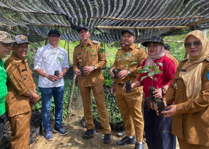 PTBA Dampingi Petani Kopi Sawahlunto Panen dan Ciptakan Nilai Tambah