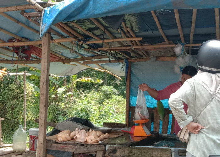 Ayam Potong dan Ikan Laut di Pasar Pulo Mas Tebing Tinggi, Empat Lawang Alami kenaikan