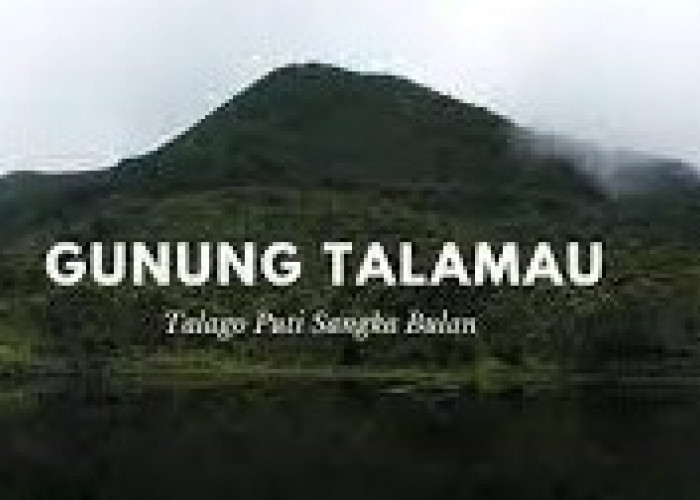 Gunung Talamau di Sumatera Barat Sebuah Destinasi Pendakian Penuh Keunikan