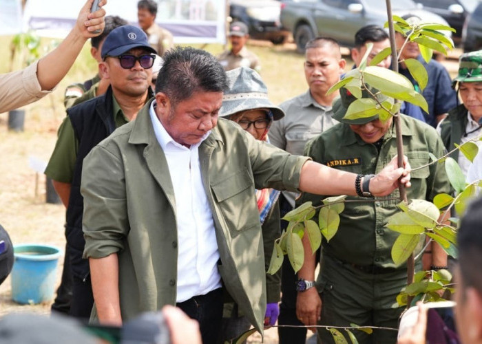 Herman Deru Tanam Pohon Blangeran dan Dorong Percepatan Perbaikan WTP di Kebun Raya Sriwijaya