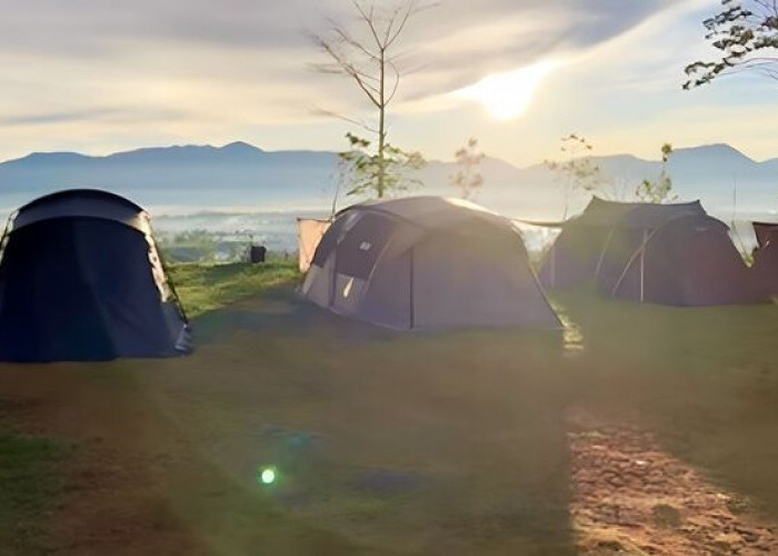 Camping Seru di Pallima Hills Pangalengan Bandung : Rasakan Suhu Dingin 8 Celcius yang Menyegarkan