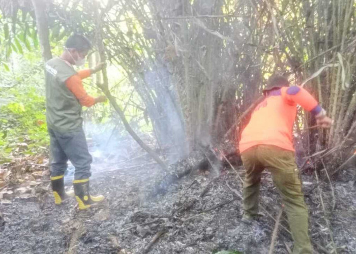 BPBD OKU Padamkan Karhutla di Lima Titik Hotspot