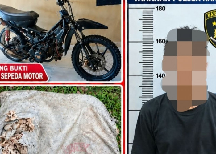 Curi 40 Kg Getah Karet, Residivis Dibekuk Polisi