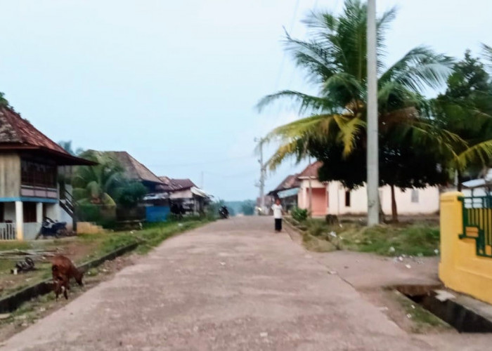 Blank Spot Warga Sukaraja Kesulitan Komunikasi Keluar Desa