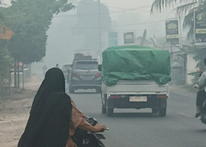 Pengendara Mengeluh! Kabut Asap di Jalintim OKI Ganggu Jarak Pandang