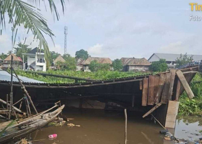 Satu Unit Rumah di Bantaran Sungai Belanti OKI Roboh Diterjang Eceng Gondok