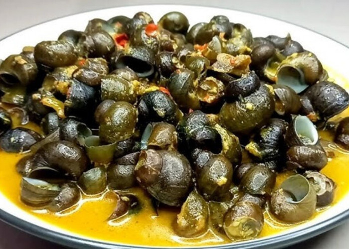 Kuliner Tradisional Tutut Saus Padang Semakin Diminati, Jadi Sajian Favorit Baru di Berbagai Daerah